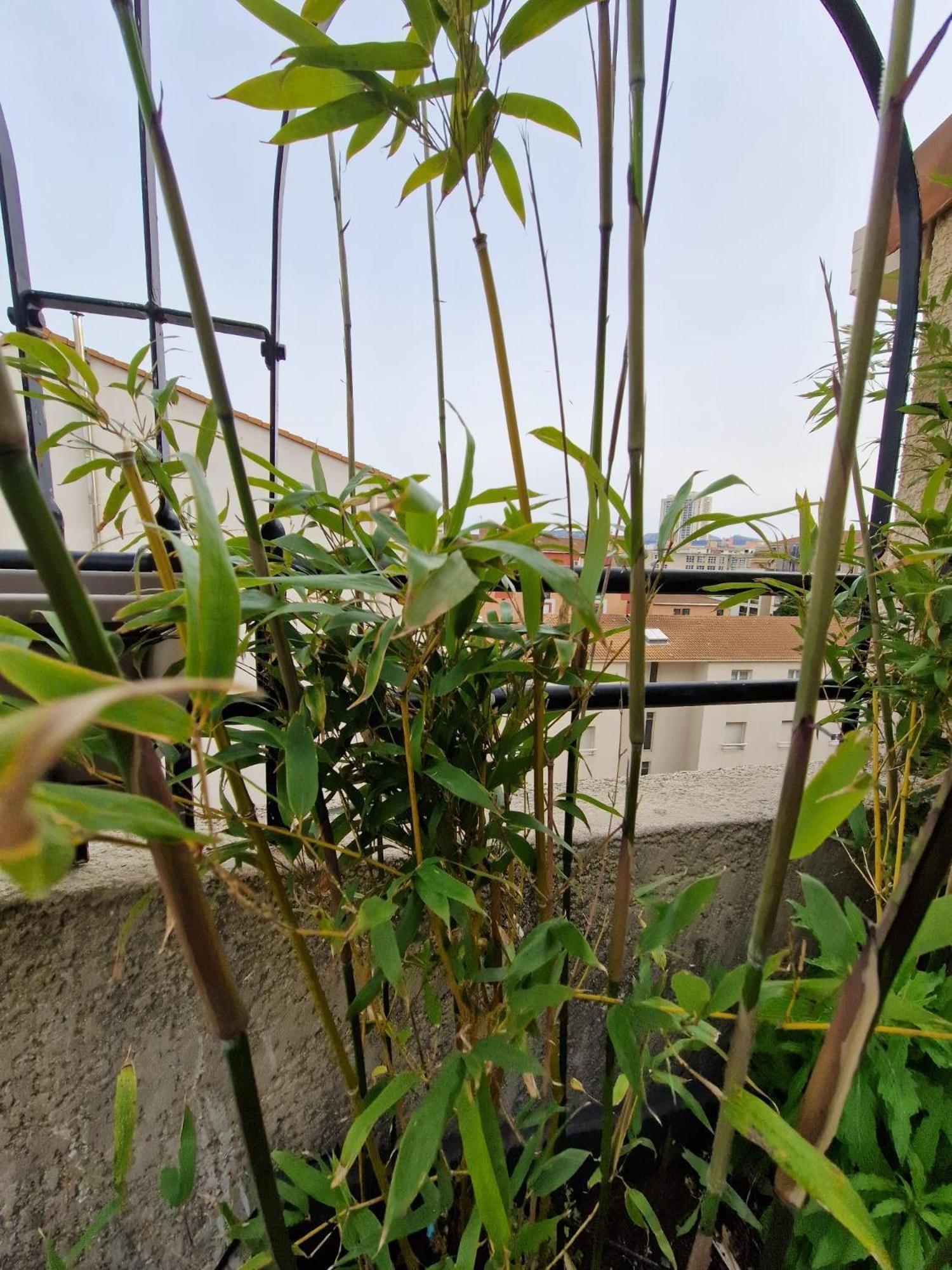 Prado Spacious And Sunny Loft In 马赛 外观 照片